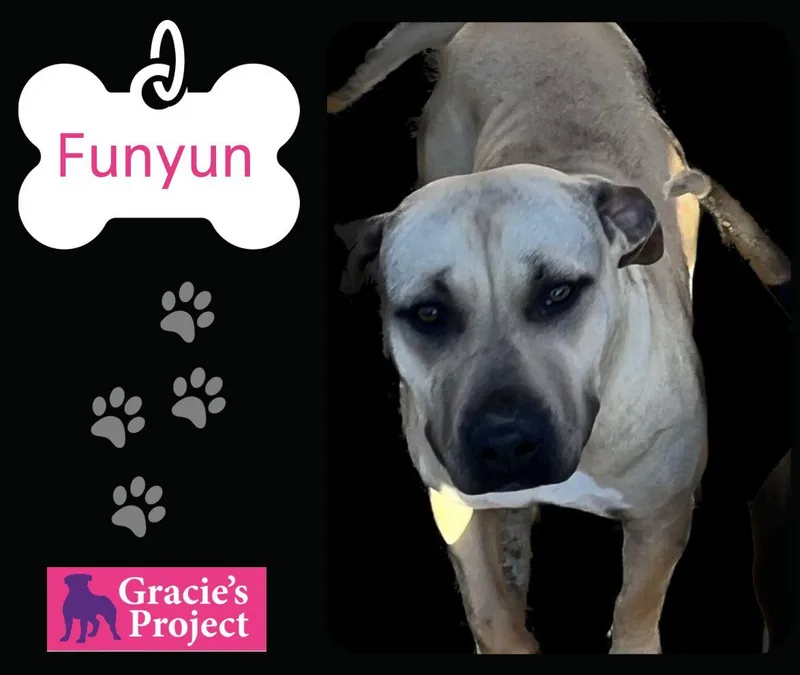 Funyuns thumbnail 2