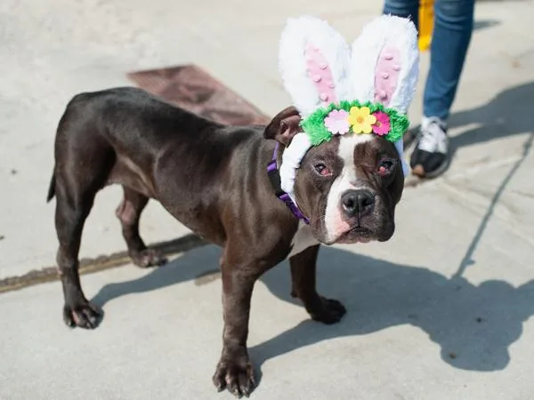 Strawberrina thumbnail 2