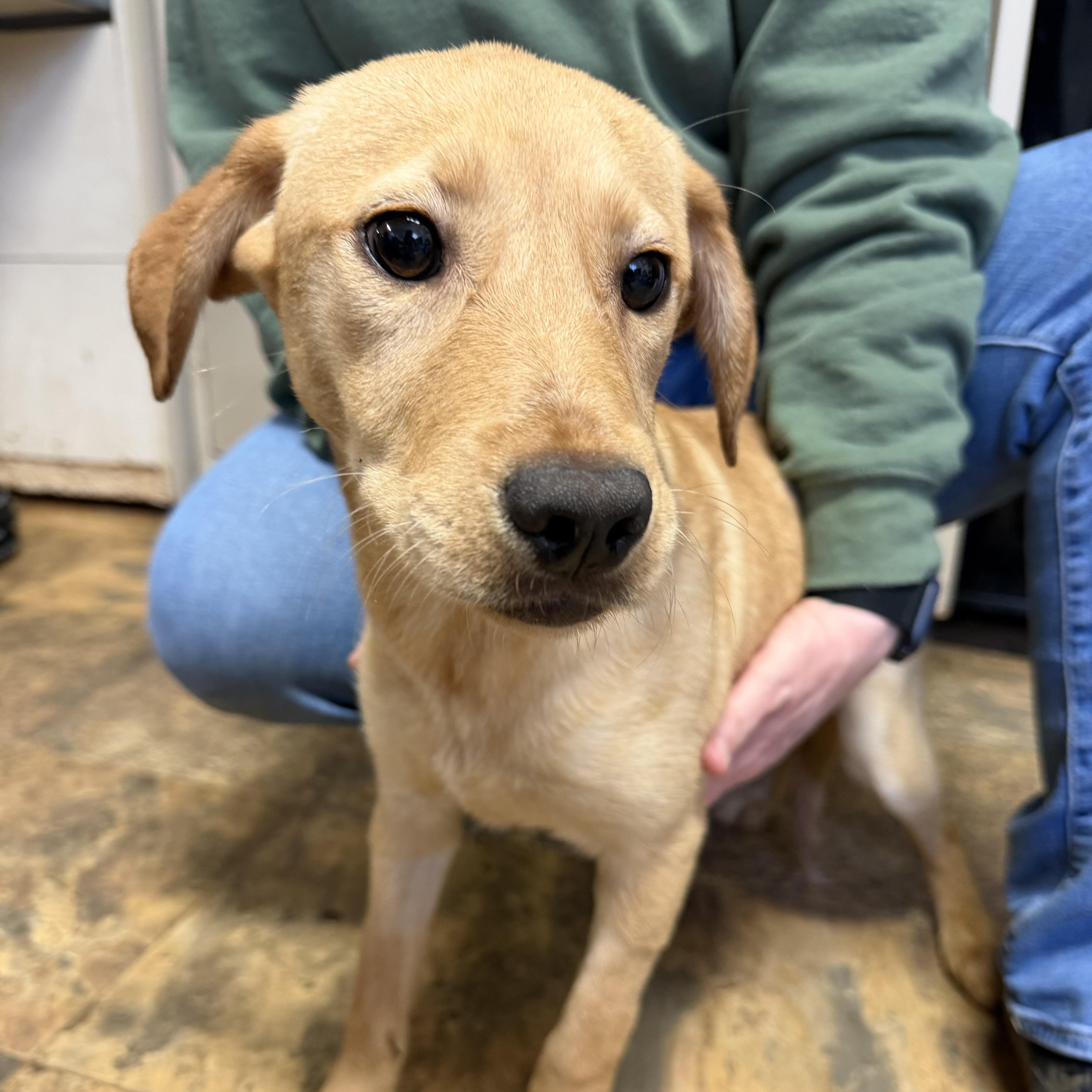 Katharine thumbnail 2