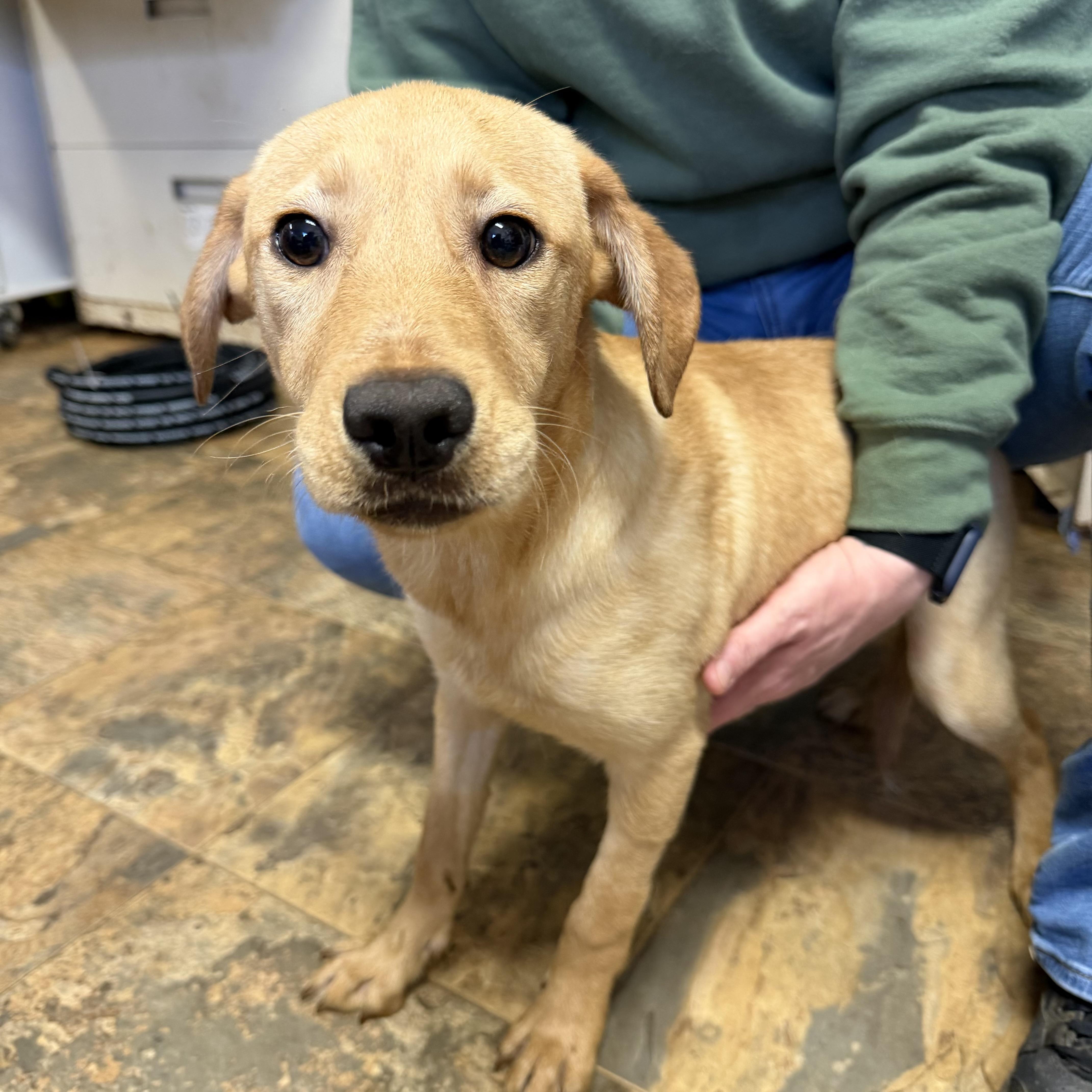 Katharine thumbnail 3