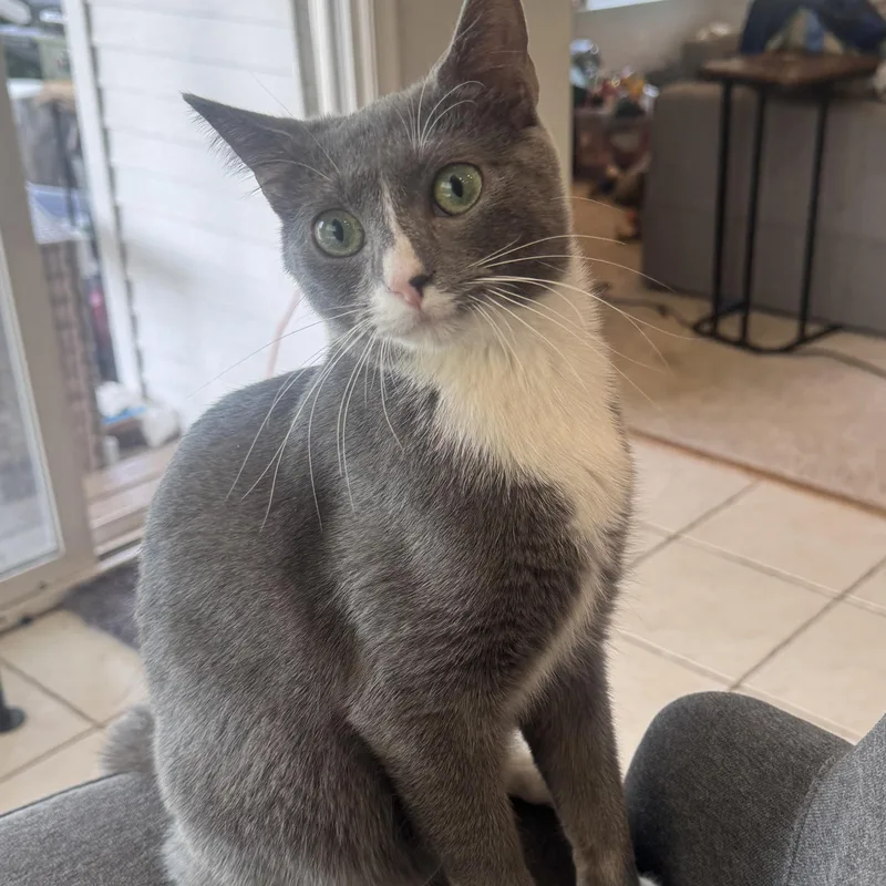 Nova And Luna  thumbnail 2