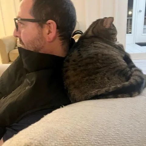 Shadow  Loyal thumbnail 2