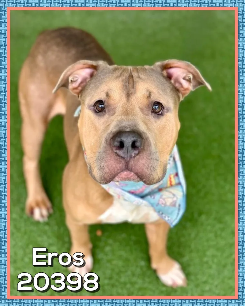 Eros thumbnail 2