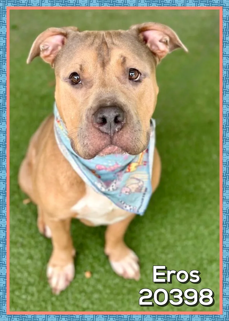 Eros thumbnail 3