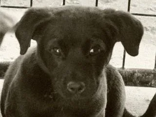 Titus thumbnail 2