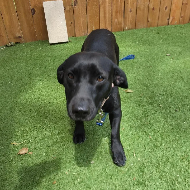 Lola Rae TW thumbnail 4