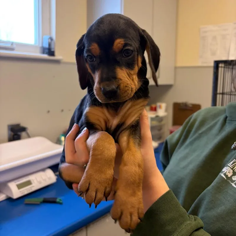 Guinness thumbnail 2