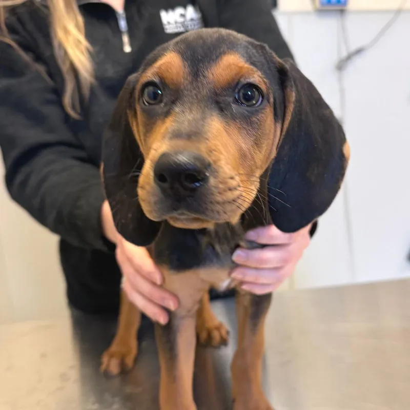 Guinness thumbnail 3