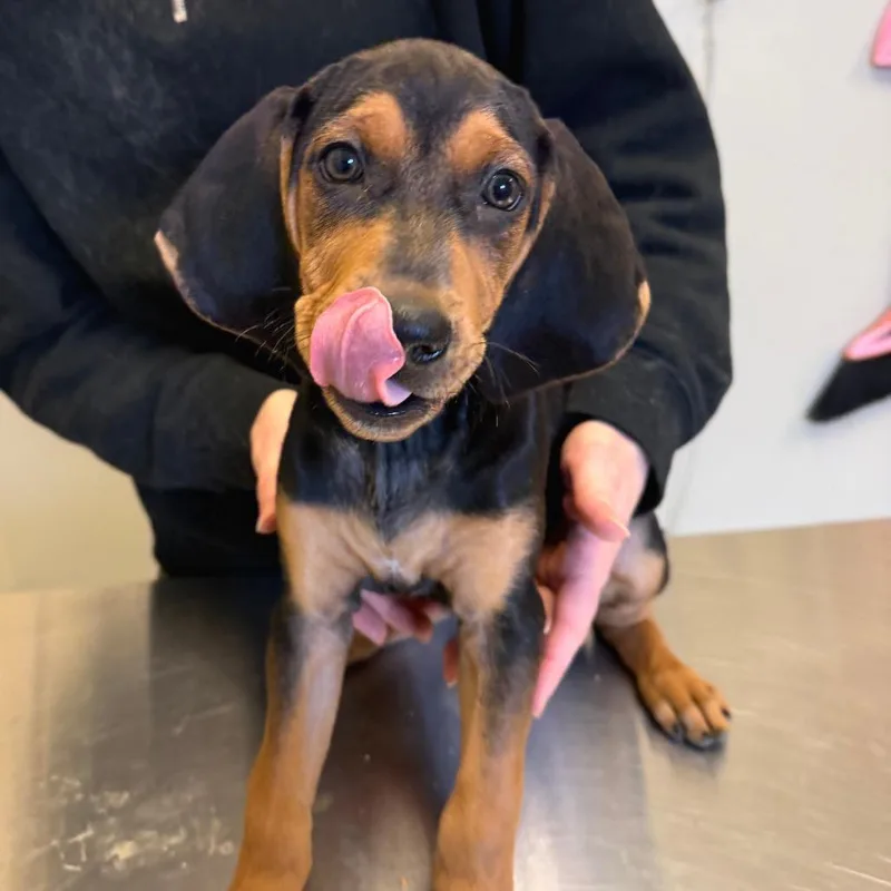 Guinness thumbnail 4