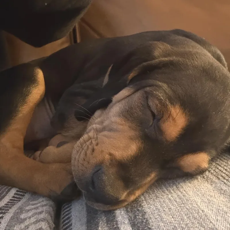 Guinness thumbnail 6