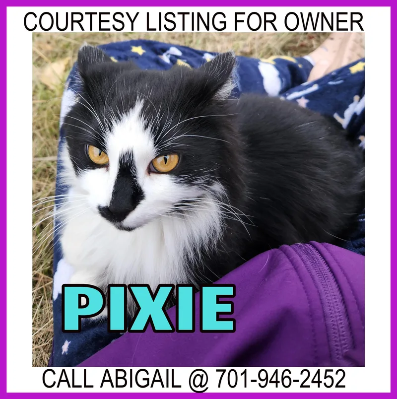 Pixie  Courtesy Listing