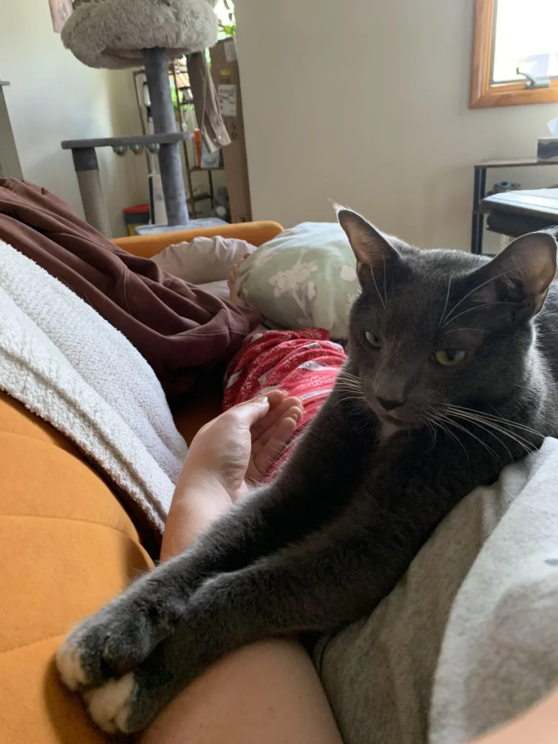 Gochuchang thumbnail 4