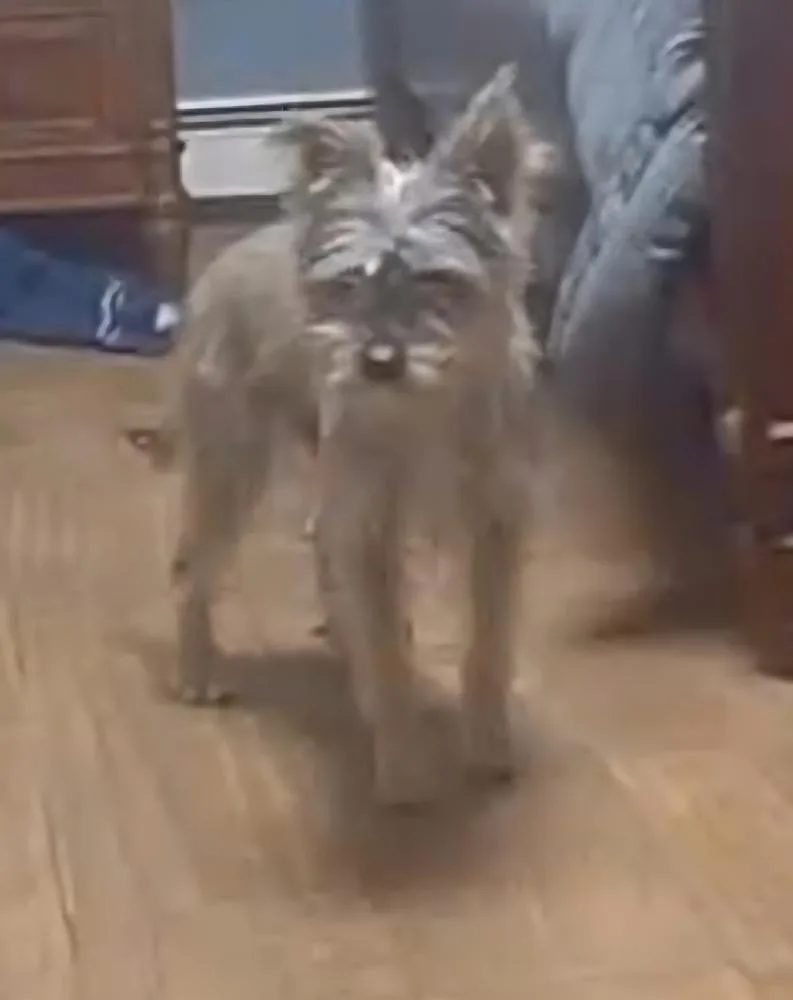 Sparkles thumbnail 2