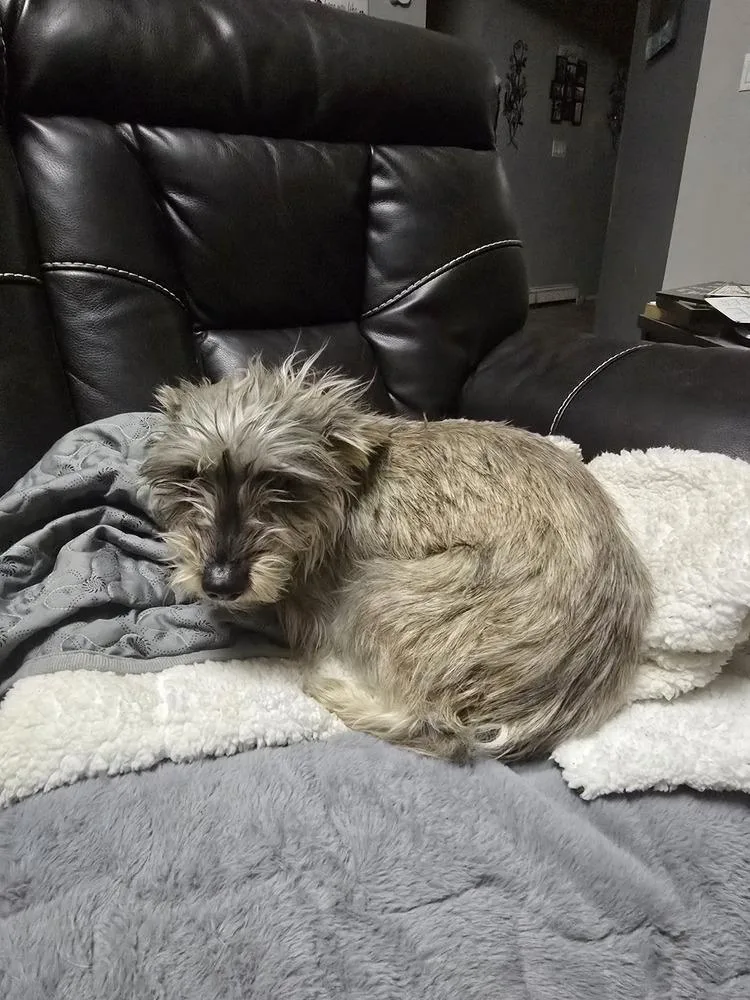 Sparkles thumbnail 3