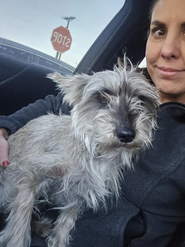 Sparkles thumbnail 4