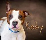 Koby