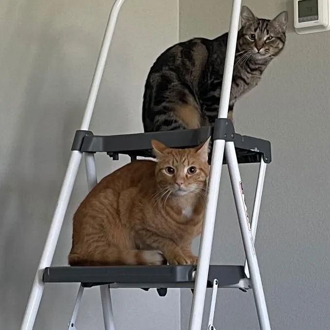 Christopher thumbnail 2