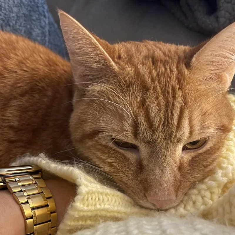 Christopher thumbnail 3