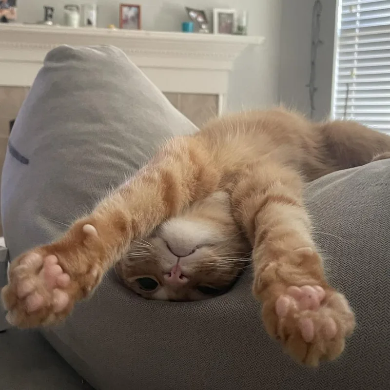 Christopher thumbnail 4