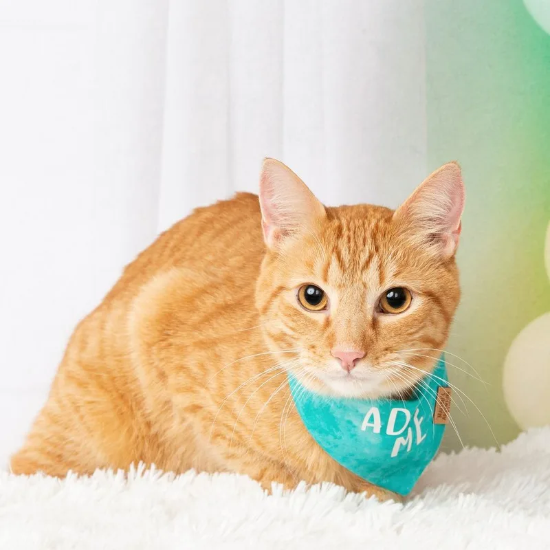 Christopher thumbnail 5