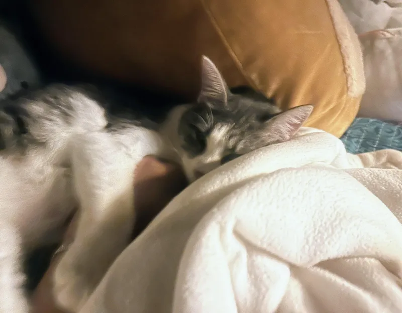 Svetlana thumbnail 4