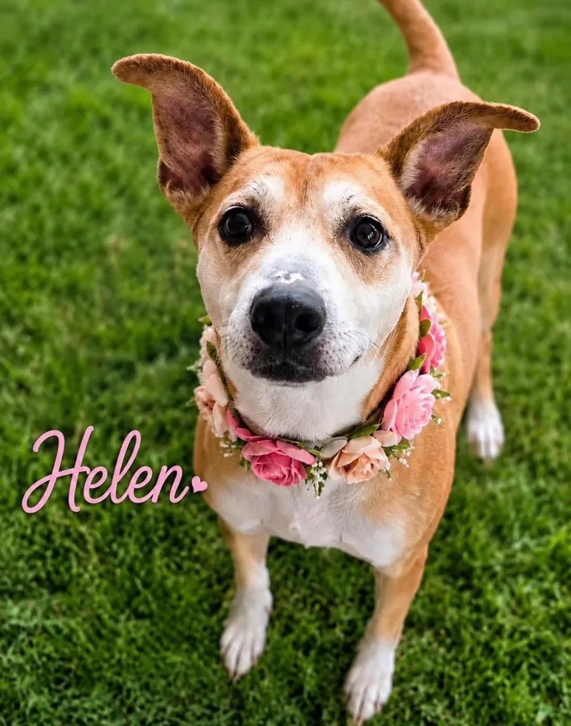 Helen