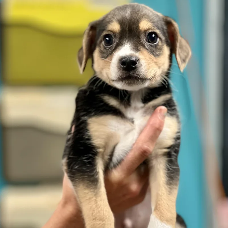 Jack  Arriving In thumbnail 2