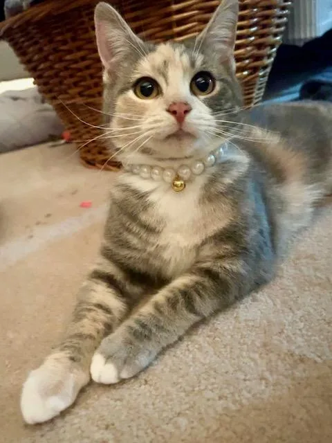 Rhonda & Cosette thumbnail 2