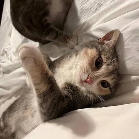 Rhonda & Cosette thumbnail 3