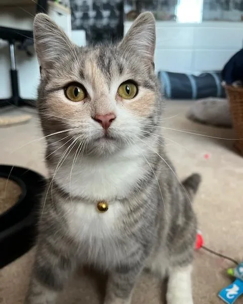 Rhonda & Cosette thumbnail 5