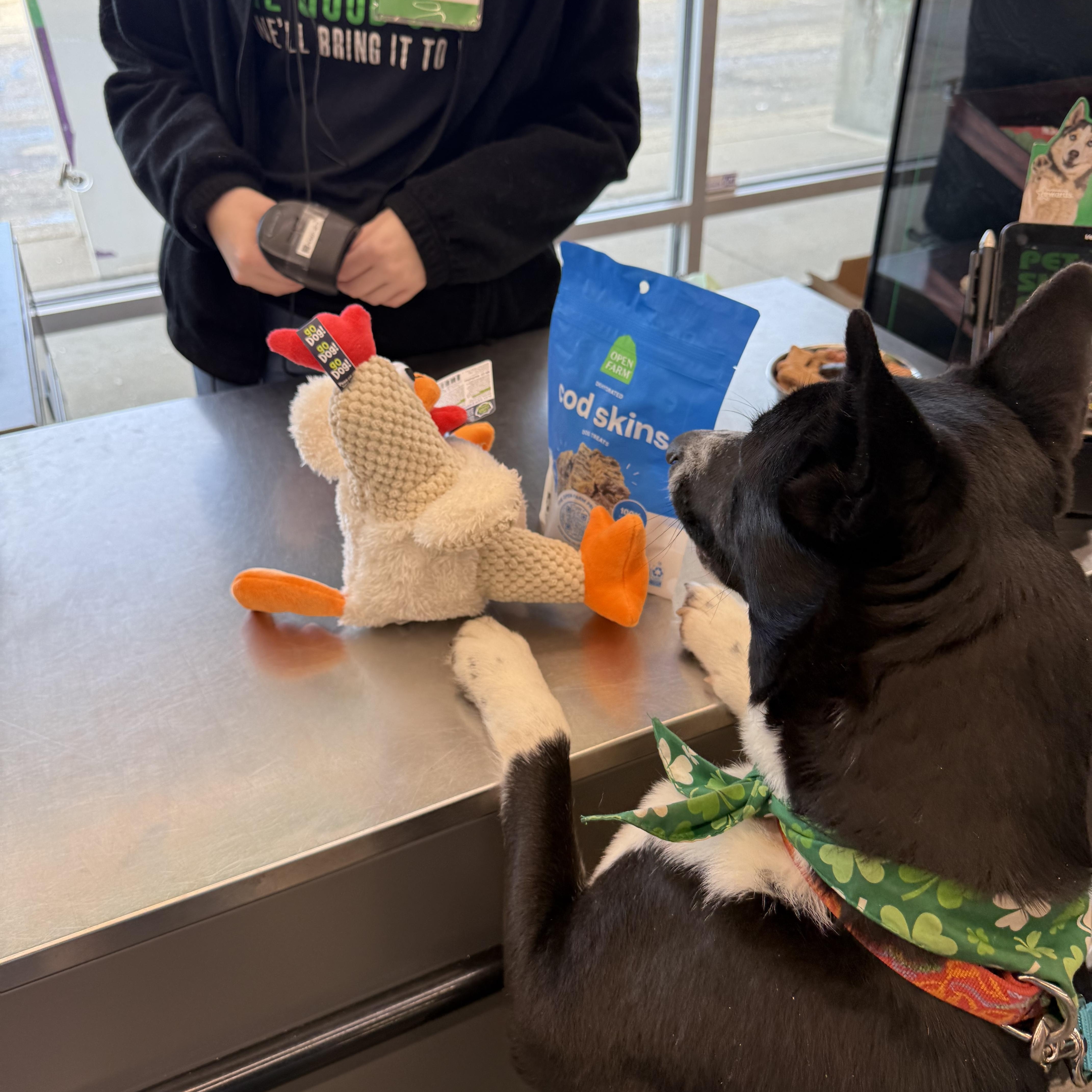 Ski Blue thumbnail 5