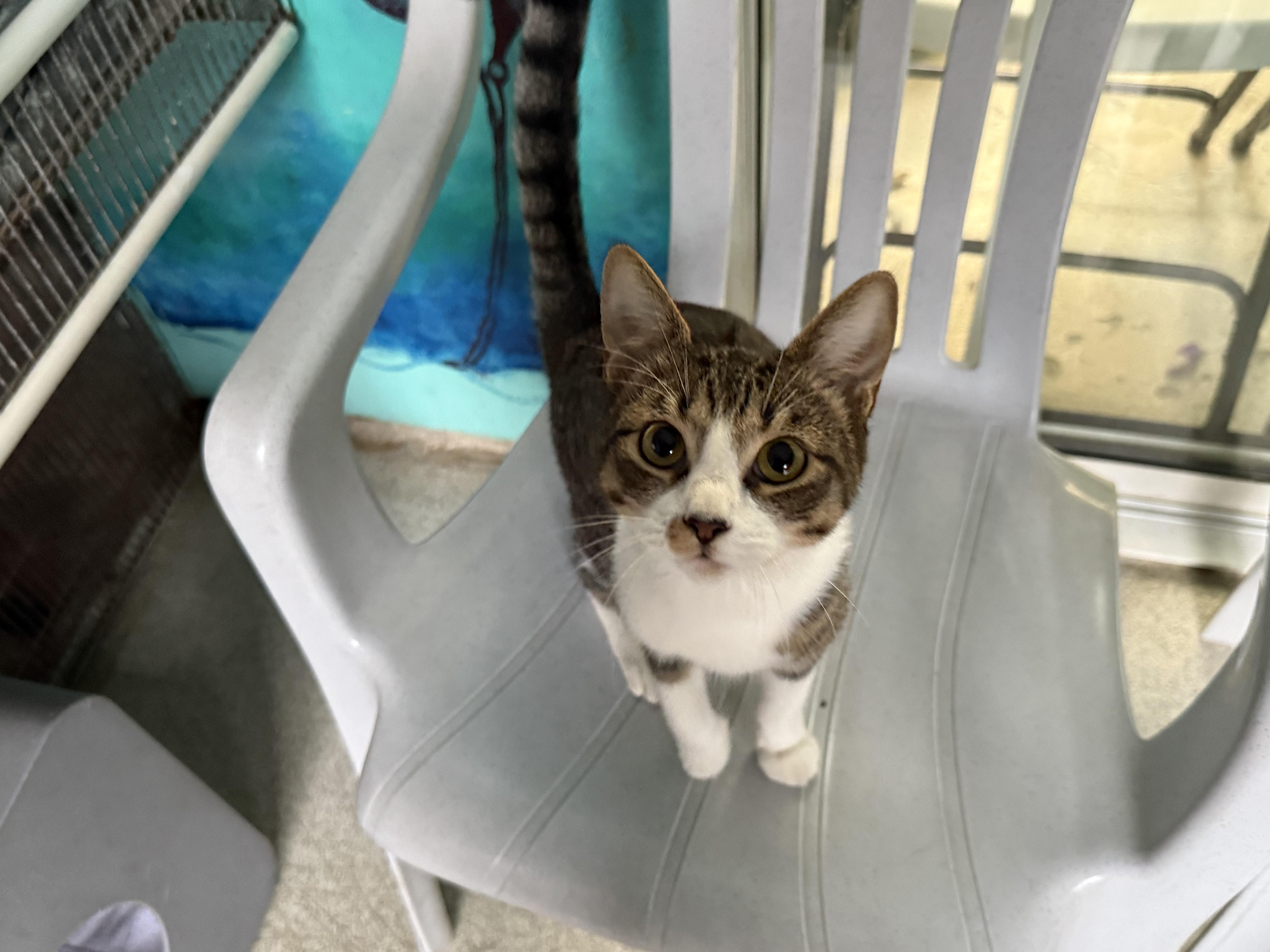 Sweet Pea thumbnail 2