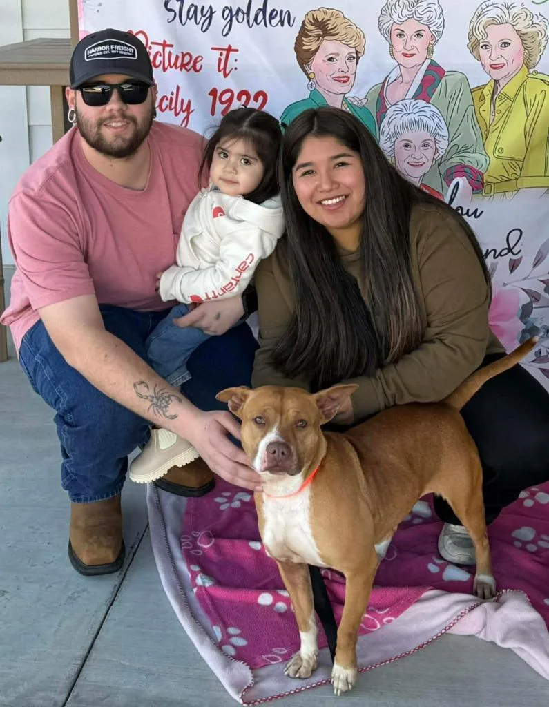 Showgirl thumbnail 5