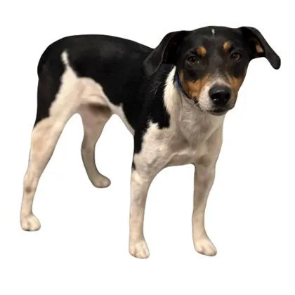 Burt thumbnail 2