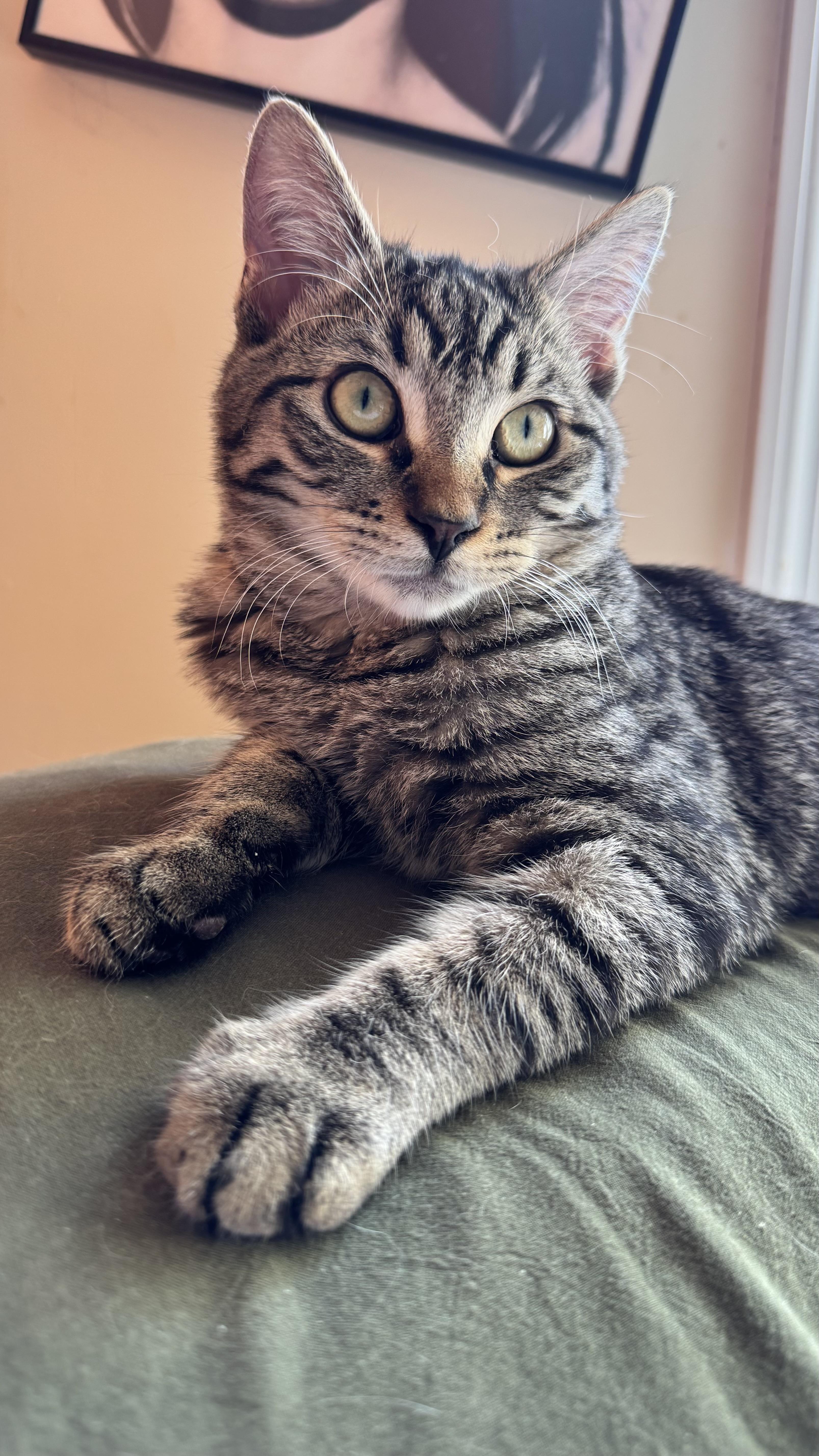 Bobby And Winston thumbnail 2