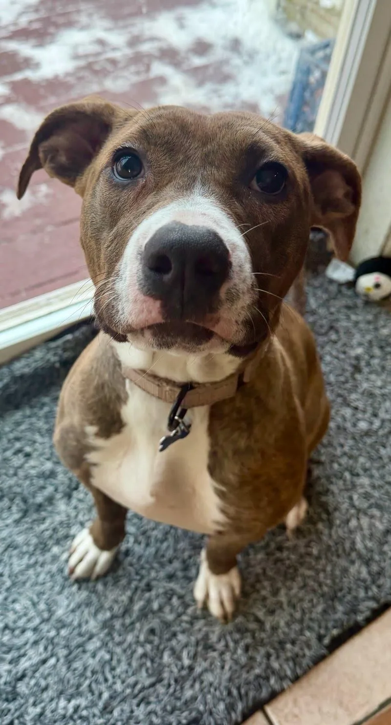 Penelope thumbnail 2