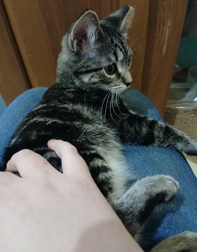 Sourdough thumbnail 2