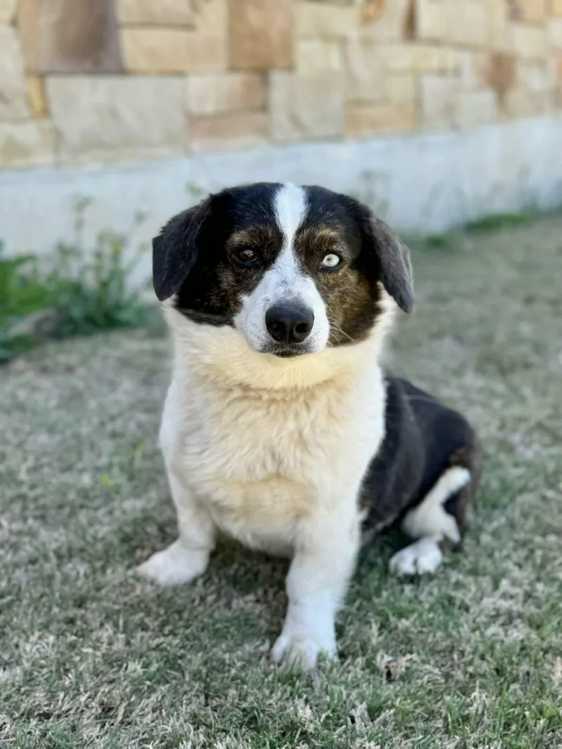 Bruno