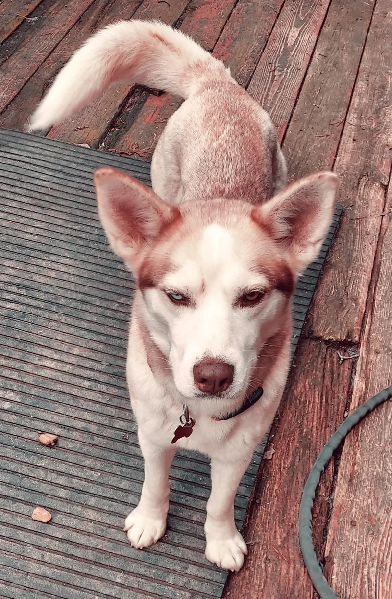 Truly Unique thumbnail 2