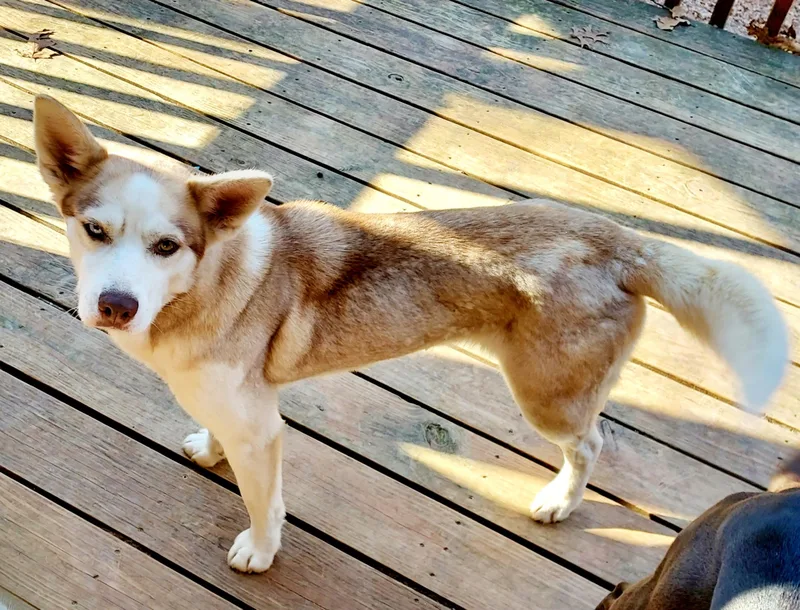 Truly Unique thumbnail 3