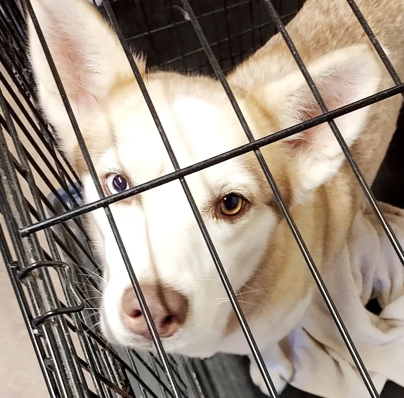 Truly Unique thumbnail 4