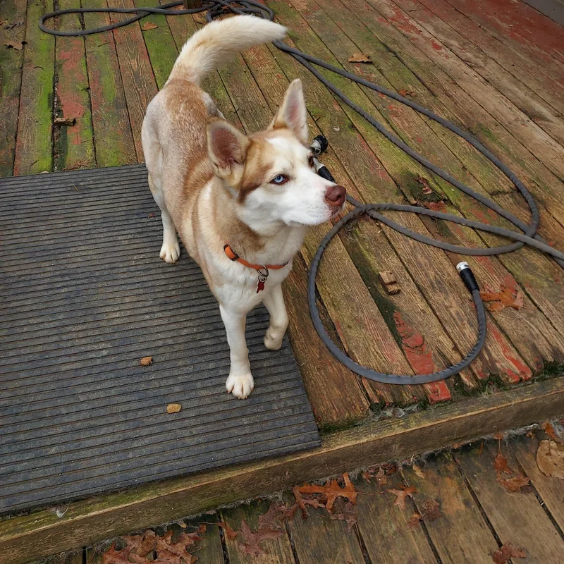 Truly Unique thumbnail 5