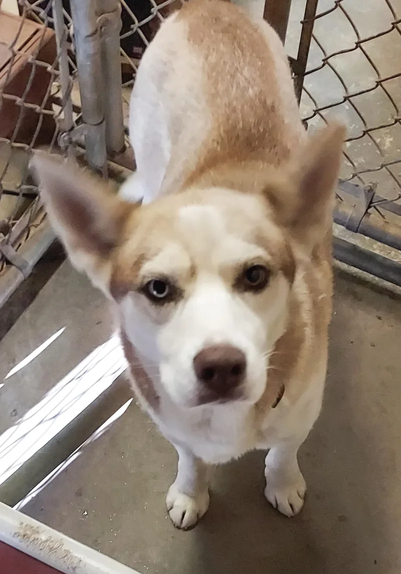 Truly Unique thumbnail 6