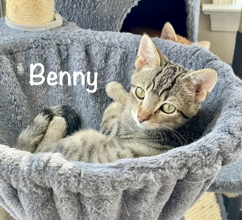 Benny