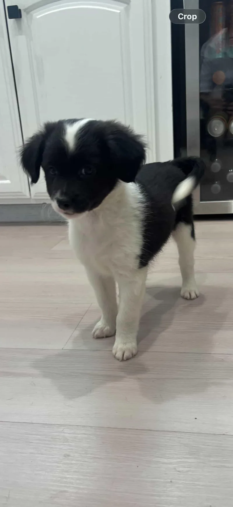Charlie