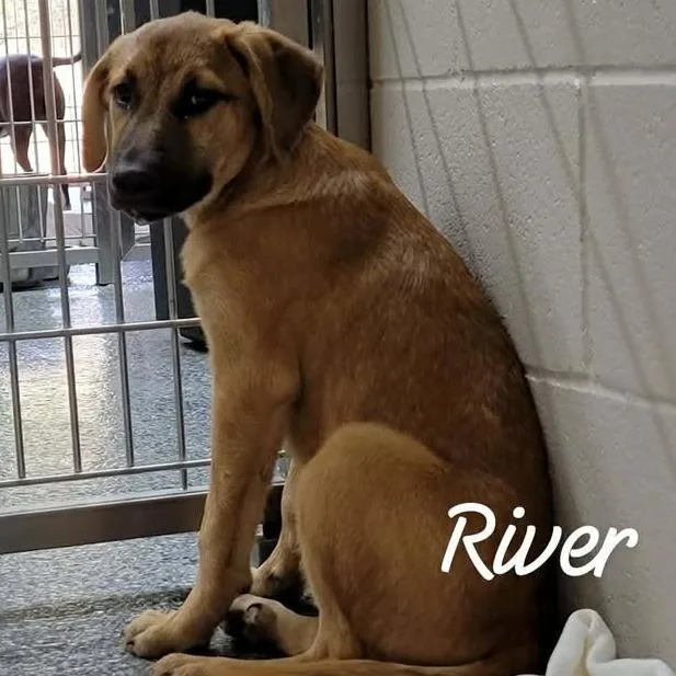 River
