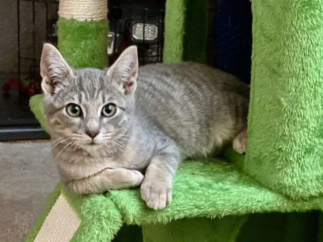 Teddy And Rocky thumbnail 6