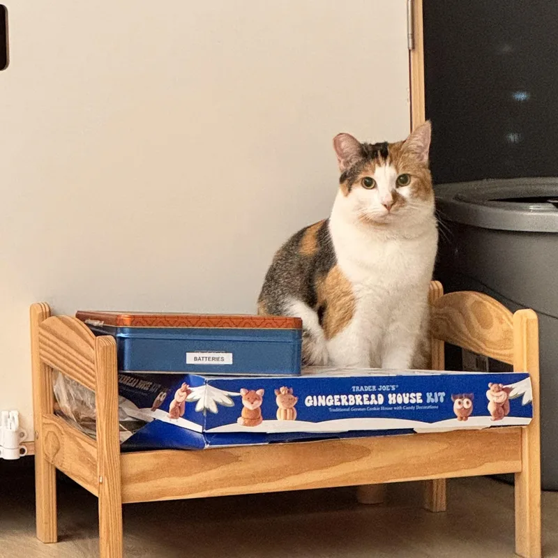 Callie : thumbnail 2