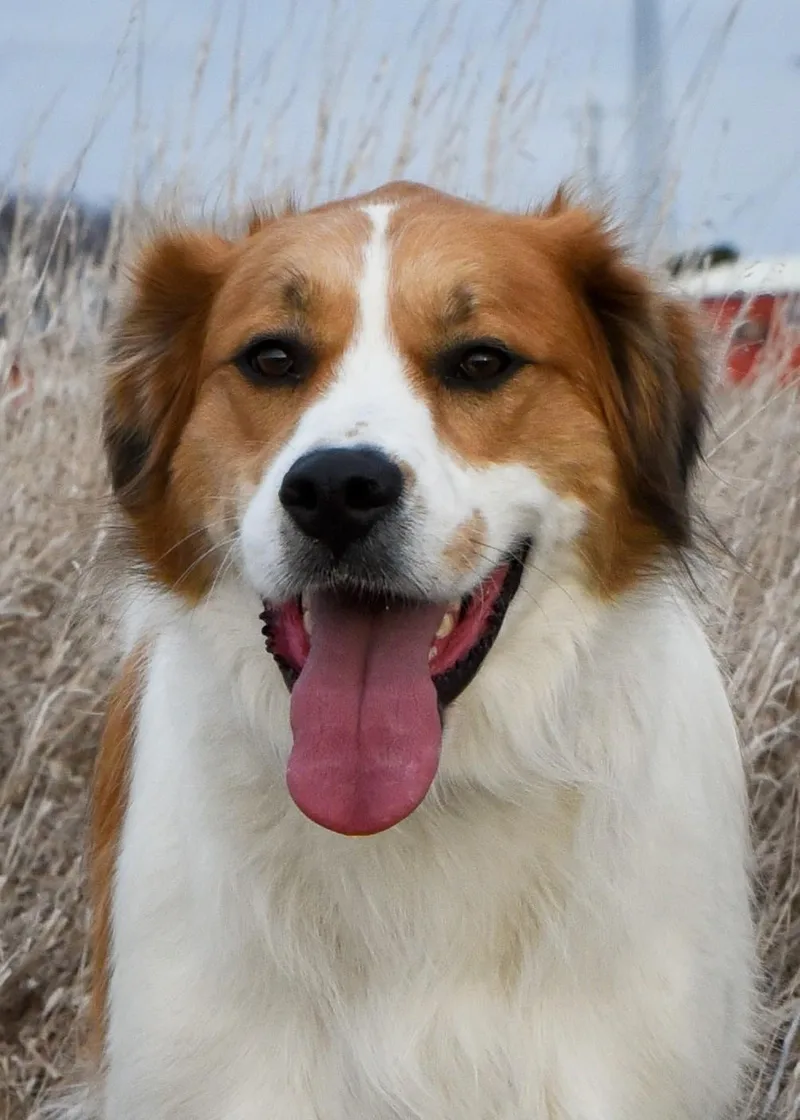 Herkules thumbnail 3