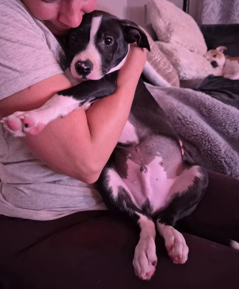 Po Boy  Zoey's thumbnail 2